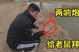 姚三马放二踢脚出新花样，用二踢脚给老鼠拜新年，老鼠都吓傻了！视频封面