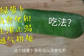 绿萝卜消食化积，生津止渴，通气排便，小林教你酸辣爽口的做法视频封面