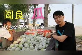 甜瓜居然还有这么多品种，恣姨探访批发市场意外找回童年记忆视频封面