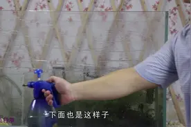 鱼缸难清洗？用上1样东西和1个技巧就可以让鱼缸洁净如新视频封面