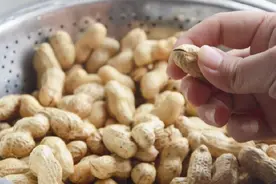 盐水煮花生大多人第一步就错了，学会这个秘诀，一个人3斤不够吃