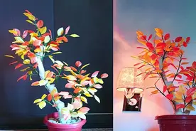 逼真的秋天树叶【盆景】，一次做一大盆！其实用垃圾袋就能做！视频封面