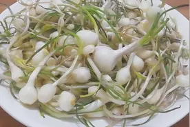 东北特产“小根蒜”，别再凉拌了，学会这样做，比吃红烧肉都香视频封面