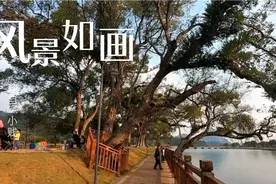韶关武江区龙归的社祖村，青山绿水风景如画，每天很多人过来游玩视频封面
