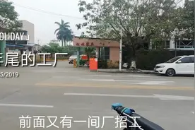 年尾了广东中山很多工厂都在招临时工，13块钱一个钟，工厂难招人视频封面