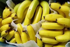 挑选香蕉有技巧，遇到这3种香蕉，就不要买了，赶快了解一下视频封面