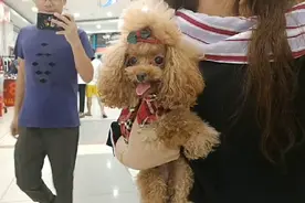 为啥一路上都有人在看我们？是什么让我们成为路人的焦点呢？