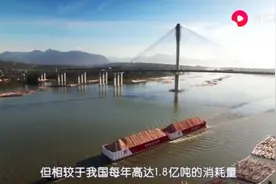 中国粮食年产6.5亿吨，够全国吃多久？需要动用国家粮食储备？视频封面