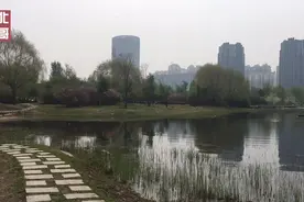 母亲节带妈妈来哈尔滨这个公园，不收费不预约，有山有水花满园视频封面