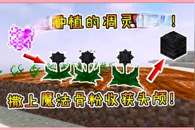 我的世界模组：可种植的凋灵种子！撒上魔法骨粉，收获凋灵头颅！