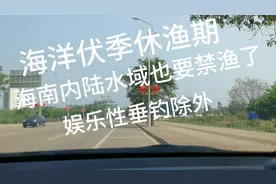 海洋伏季休渔期，海南省内陆水域也禁渔了，娱乐性垂钓外视频封面
