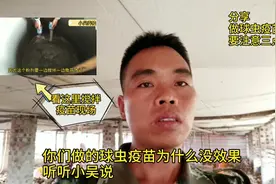 小吴养殖，你们为什么做的球虫疫苗没效果？做好这几点告别球虫病视频封面