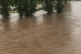 宝清县发大水了