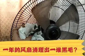 小伙用一年的风扇，简直不敢相信清出那么多垃圾，住楼顶都没有用视频封面