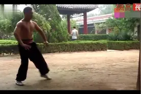 八极拳终极绝招铁山靠功夫,每天用身体撞树几百下,练就钢筋铁骨视频封面