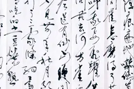 挥墨书法：不须放屁！试看天地翻覆！毛主席《念奴娇·鸟儿问答》