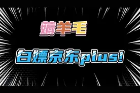 小废薅羊毛-白嫖京东一年plus会员的正确姿势视频封面