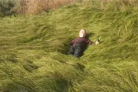 东北三宝之一乌拉草