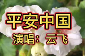 云飞一首《平安中国》寒夜在我梦中划过，幸福汇成奔腾江河，好听