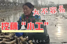 河南南阳“挖藕小工”，一天10个小时多少钱？大姨：一般人干不了视频封面