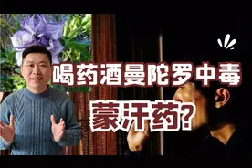 男子喝药酒曼陀罗中毒，医生:这是古代“蒙汗药”，自制药酒别喝