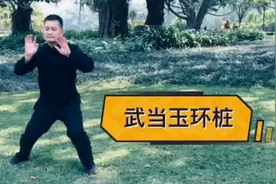 丹道外功，真气循经导脉专修功，大补元气，快速使虚弱身体变强壮