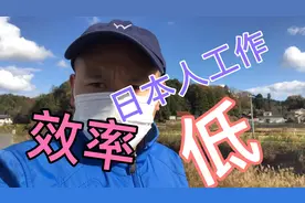 日本人工作效率太低，还不如咱中国人呢？小林深有体会！视频封面