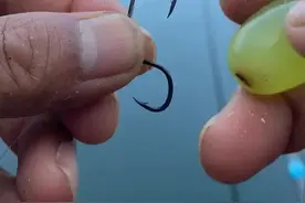 钓鱼技巧，葡萄挂钩，垂钓大青鱼大草鱼！