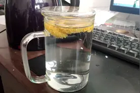 二型糖人血糖高，喝菊花茶，血糖真不错视频封面