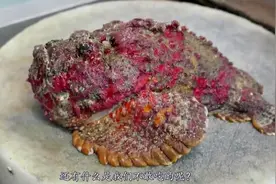 _世界十大毒王之一，被中国厨师做成美食，还有什么是我们不敢吃视频封面