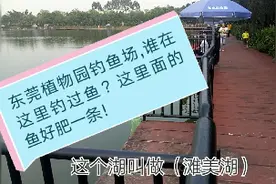 小伙在东莞钓鱼场看到钓鱼的价格，100块钓一天,网友:真便宜！视频封面