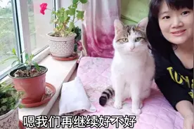 如何给猫体外驱虫？让我和猫小奇做个示范，沿着颈椎线滴药真乖