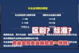 失业金和失业保险有什么区别？了解这些把握好福利！不会搞混了！视频封面