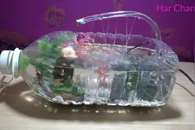 用矿泉水瓶DIY可循环的水系统，鱼儿在里面游得好快乐视频封面
