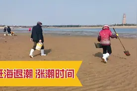 每天涨潮、退潮时间全在这里，喜欢赶海的快来看看，值得收藏视频封面