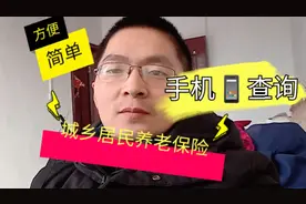小伙教你手机轻松查询 城乡居民养老保险缴费记录