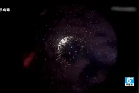 回顾下1918年的流感大流行视频封面