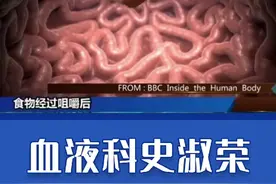 人体是如何消化食物转化为能量？