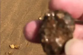 海南海口西海岸发现巨物骨头视频封面