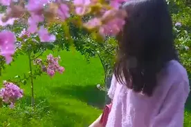 一首《爱情不相信眼泪》唱的好凄美，唱出爱情中的无奈，被打动了