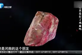 帮朋友寻购鸡血石，朋友却说：这鸡血是打上去的，拿来让专家瞧瞧视频封面