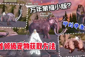 ZB小生《妄想山海》首领级别骑宠获取方法，个个帅到不行。视频封面