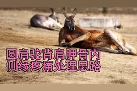 侧卧睡姿引起肩胛骨内侧缘疼痛。菱形肌无力导致圆肩驼背 4招搞定视频封面