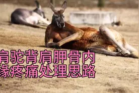 侧卧睡姿引起肩胛骨内侧缘疼痛。菱形肌无力导致圆肩驼背 4招搞定视频封面