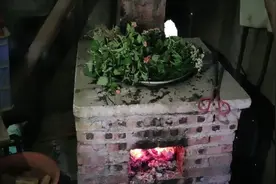 体寒湿气重，浑身发痒，农村人都用这几种草冲凉，一起来了解了解视频封面