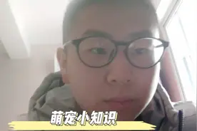 宠物刚进家门，慌了神？不用怕我来告诉你怎么做，一天一个小技巧