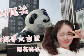 双马尾关的一天，听说太古里有很多漂亮妹妹，结果发现了惊天秘密视频封面