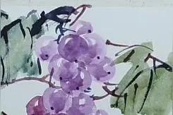 用水彩颜料尝试着画一幅国画，看看效果怎么样视频封面