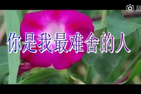 《你是我最难舍的人》，送给我的朋友们。视频封面