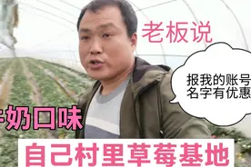 唐河郭滩：磊磊村的草莓种植基地，欢迎来采摘，报我账号打折优惠视频封面